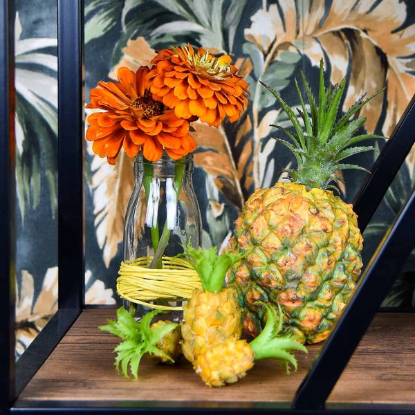 Dekorative Ananas mit orangefarbenen Zinnien in Glasvase auf einem Regal
