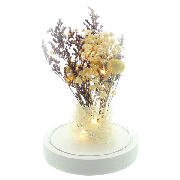 FRANK FLECHTWAREN | LED-Glocke Trockenblumen, KUNSTSTOFF, HOLZ, 11,5 x 11,5 x 19,5 cm