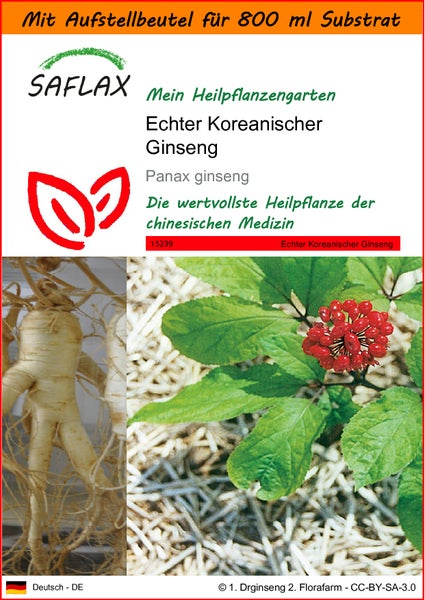 SAFLAX Garden in the bag - Echter Koreanischer Ginseng - Panax ginseng - 10 Samen - Mit Anzuchtsubstrat im praktischen, selbst aufstellenden Beutel