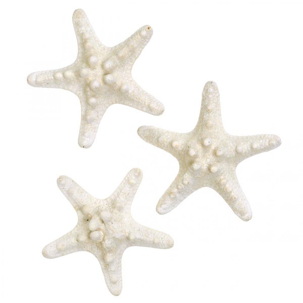 Drei weiße dekorative Seesterne mit strukturierter Oberfläche für maritime Dekorationen.