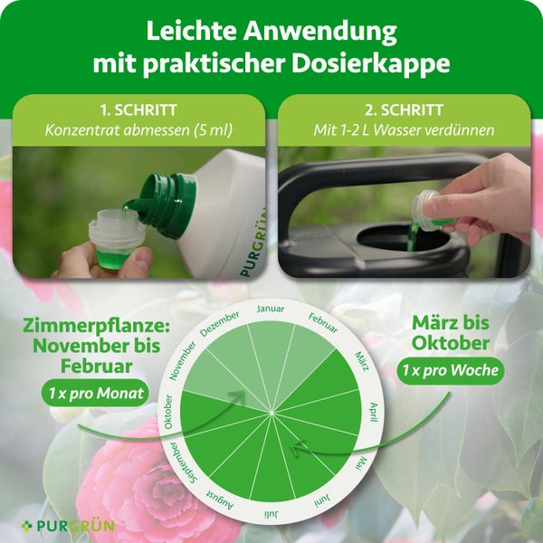 Anwendung von Purgrün Flüssigdünger: 5 Milliliter Konzentrat abmessen, mit 1 bis 2 Liter Wasser verdünnen. Inklusive Düngekalender. Purgrün Logo.
