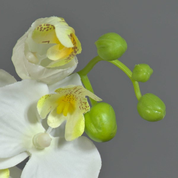 Künstliche Orchidee mit weißen Blüten und grünen Knospen.