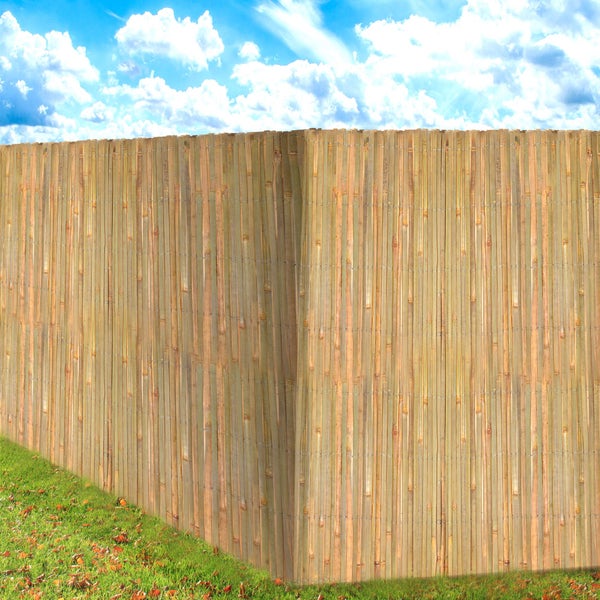 Sol Royal SolVision B89 Sichtschutzzaun 90x300cm Bambus