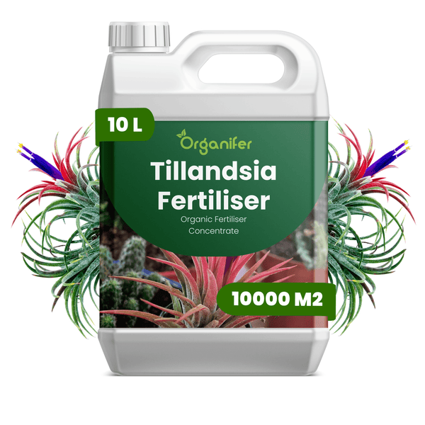 Organifer Tillandsia Dünger, organisches Konzentrat, 10 Liter Kanister für 10000 Quadratmeter.
