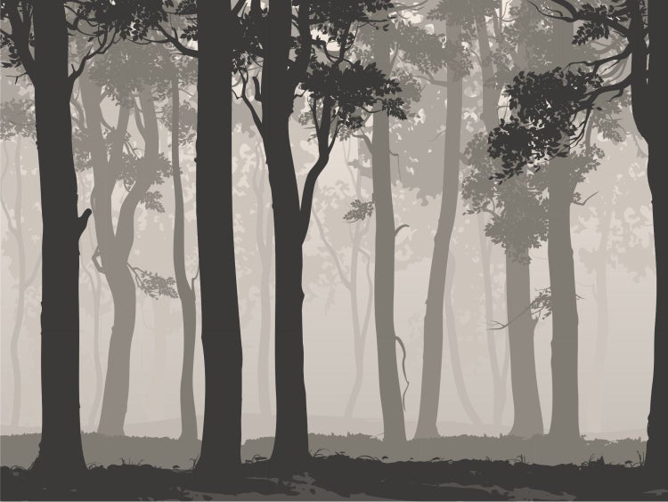 Illustration eines Waldes im Nebel