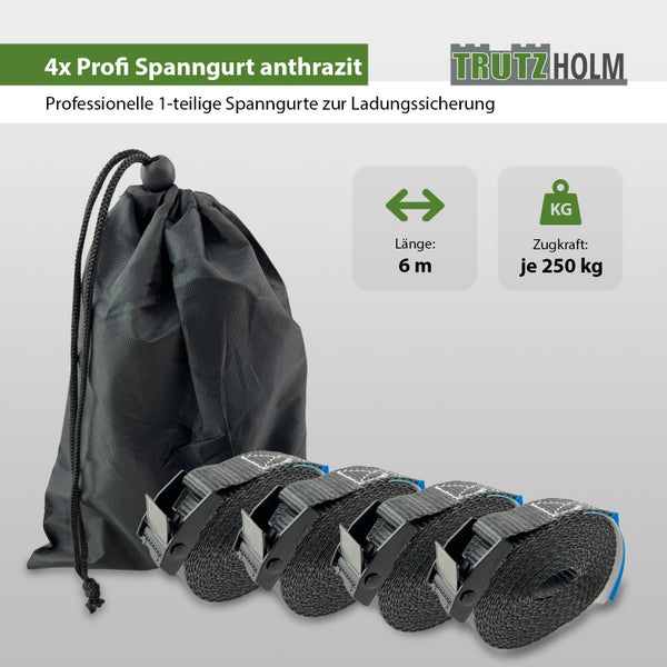 Set mit 4 einteiligen Trutzholm Spanngurten zur Ladungssicherung, 6 Meter Länge und 250 Kilogramm Zugkraft pro Gurt, inklusive Aufbewahrungstasche.