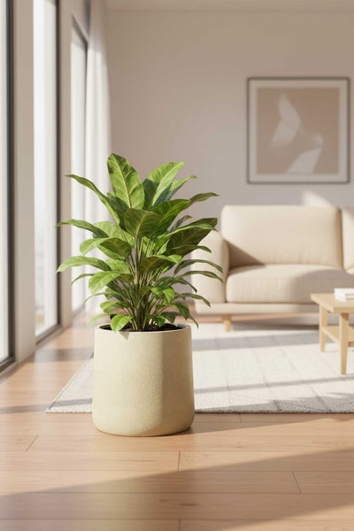 Grüne Zimmerpflanze in einem zylindrischen, hellen Pflanzgefäß in einem hellen, modernen Wohnzimmer mit Holzfußboden und Sofa.