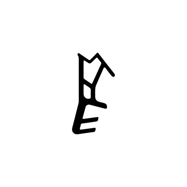 Profilansicht einer Dichtung