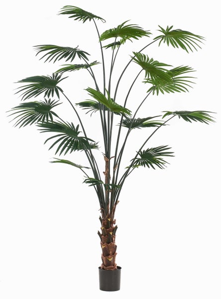 Künstliche Palme mit fächerartigen Blättern im schwarzen Kunststofftopf für die Innendekoration.