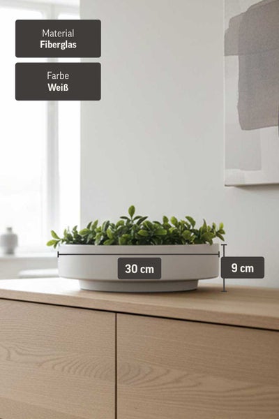 Weiße, runde Pflanzschale aus Fiberglas, Durchmesser 30 Zentimeter, Höhe 9 Zentimeter, mit grüner Pflanze auf einem Sideboard.