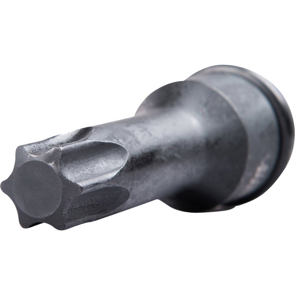 Torx Bit für Schraubendreher