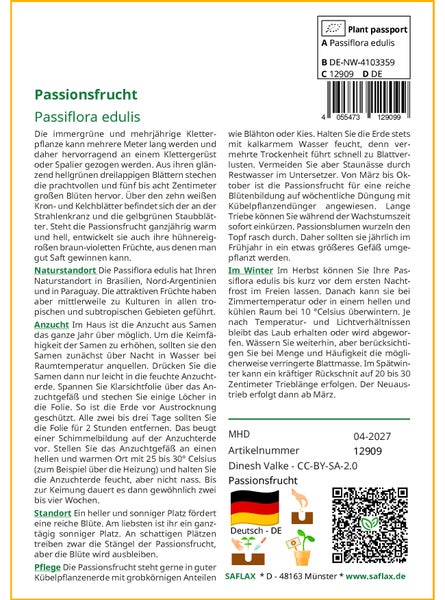 SAFLAX Anzucht Set - Passionsfrucht - Passiflora edulis - 40 Samen - Mit Mini-Gewächshaus, Anzuchtsubstrat und 2 Töpfen
