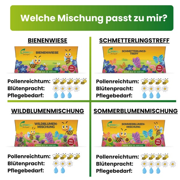 Greenyp Schmetterlingstreff Blumenmischung I 100g für 100m² I Schmetterlingswiese Schmetterlinge & Bienen I I Blumensamen Mischung ein- & mehrjährig