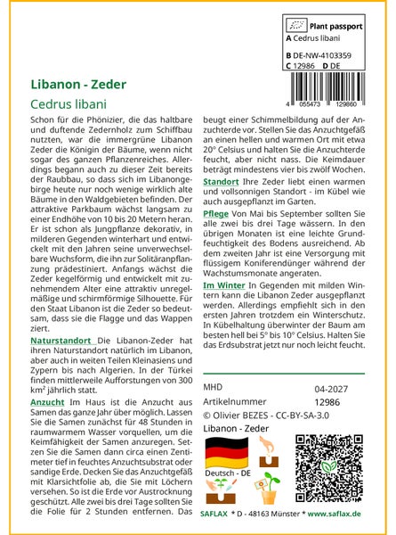 SAFLAX Geschenk Set - Libanon - Zeder - Cedrus libani - 20 Samen - Mit Geschenkbox, Versandaufkleber, Geschenkkarte und Anzuchtsubstrat