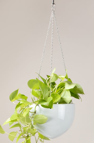 Scheurich Hanging Pot, Hängeampel aus Keramik,  Farbe: Alaska, 18 cm Durchmesser, 14,8 cm hoch, 1,6 l Vol.