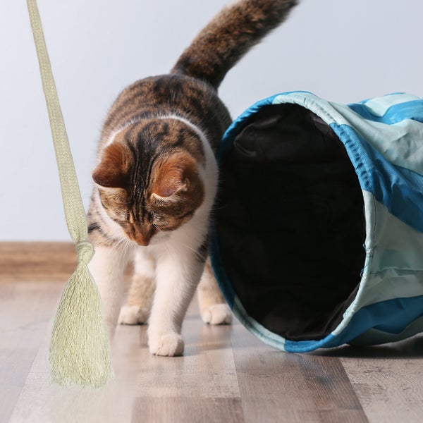 Premium Spielangel für Katzen aus Holz mit Baumwollband (weiss). Diese Katzenangel ist ein robustes Katzenspielzeug