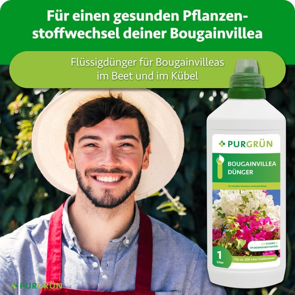 Eine Flasche Purgrün Bougainvillea Dünger mit Guano und Spurennährstoffen vor einem gärtnernden Mann mit Strohhut.