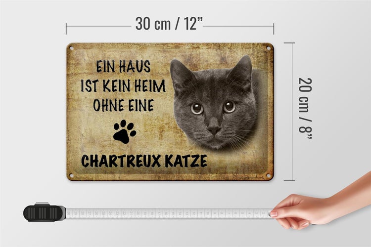 Blechschild Spruch 30x20cm Chartreux Katze ohne kein Heim
