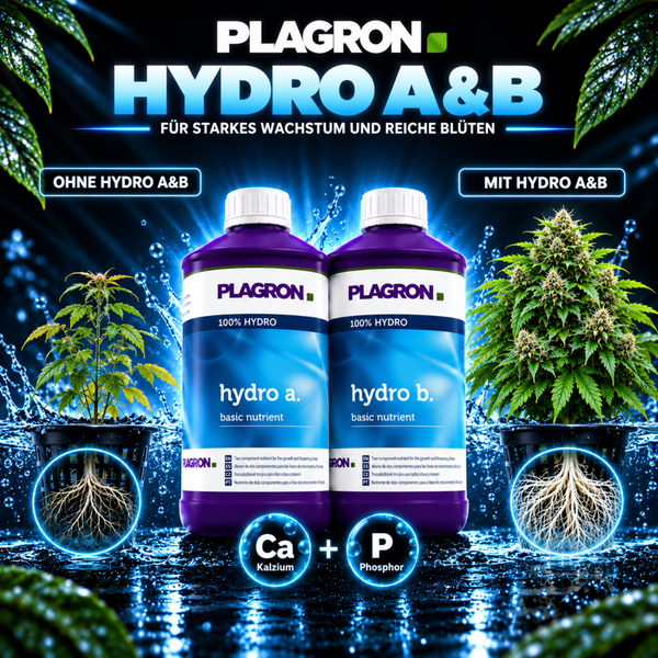 Plagron Hydro A und B Pflanzennährstoff für Hydrokulturen zur Wachstumsförderung und Blüte.