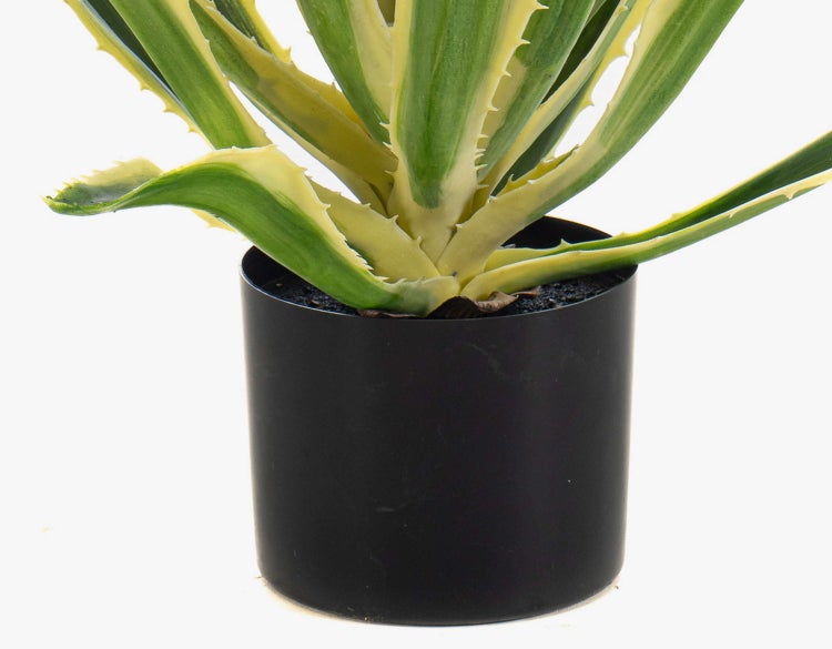 Künstliche gelbe Nadelkissen-Protea am Stiel mit grünen Blättern für die Dekoration.