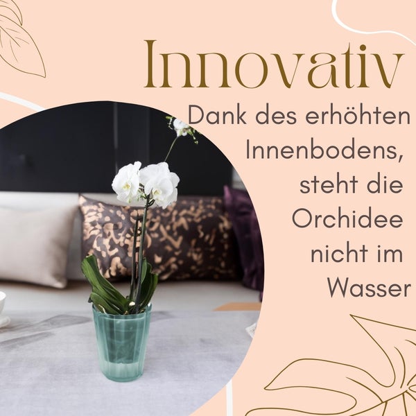 Dekorative Orchidee im Topf mit erhöhtem Innenboden