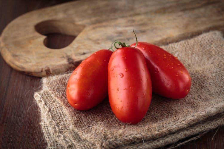 SAFLAX  - BIO - Tomate - San Marzano - Solanum lycopersicum - 15 Samen - Mit keimfreiem Anzuchtsubstrat