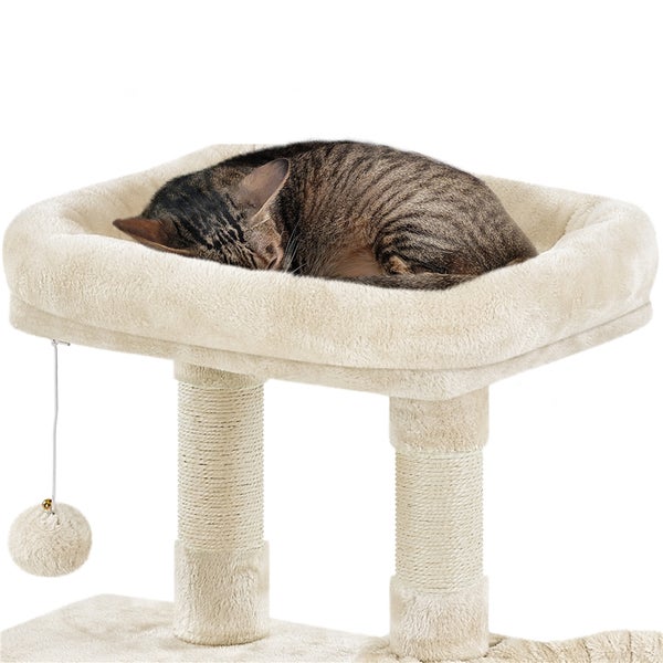 Katze schläft auf einem Katzenkratzbaum