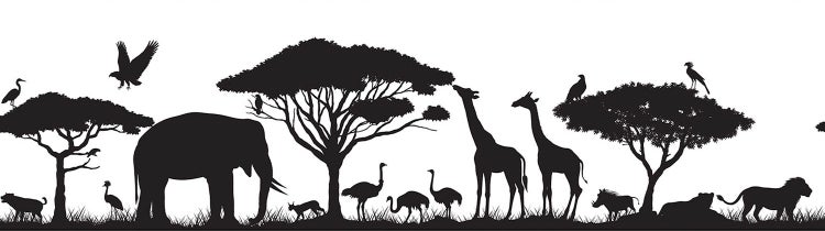 Wandtattoo oder Bordüre mit schwarzen Silhouetten afrikanischer Savannentiere wie Elefant, Giraffe und Löwe sowie Akazienbäumen.