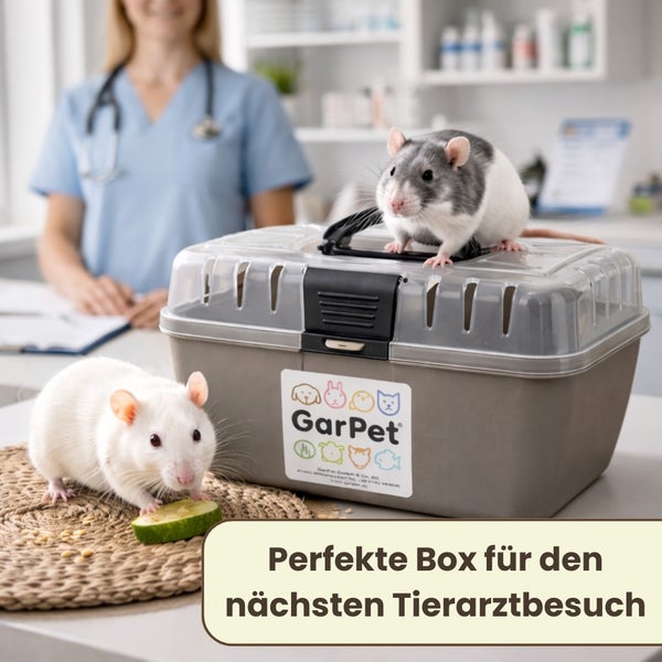 Transportbox für kleine Tiere mit transparentem Deckel und GarPet Logo, gezeigt mit zwei Ratten in einer hellen Tierarztpraxis.