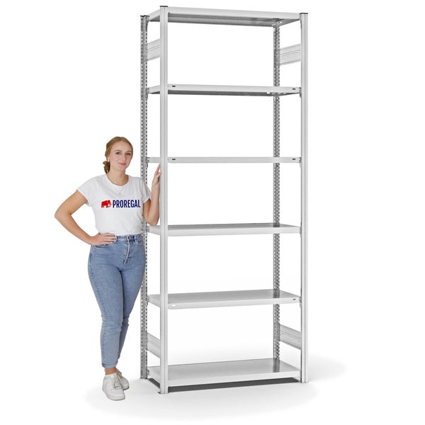 PROREGAL Fachbodenregal Stecksystem T-Profil Light-Duty Grundregal HxBxT 250 x 100 x 40 cm 6 Ebenen Fachlast 145 kg Beidseitig Nutzbar Lichtgrau