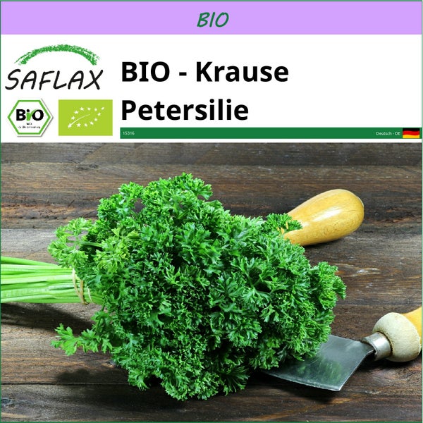 SAFLAX  - BIO - Krause Petersilie - Petroselinum crispum - 800 Samen