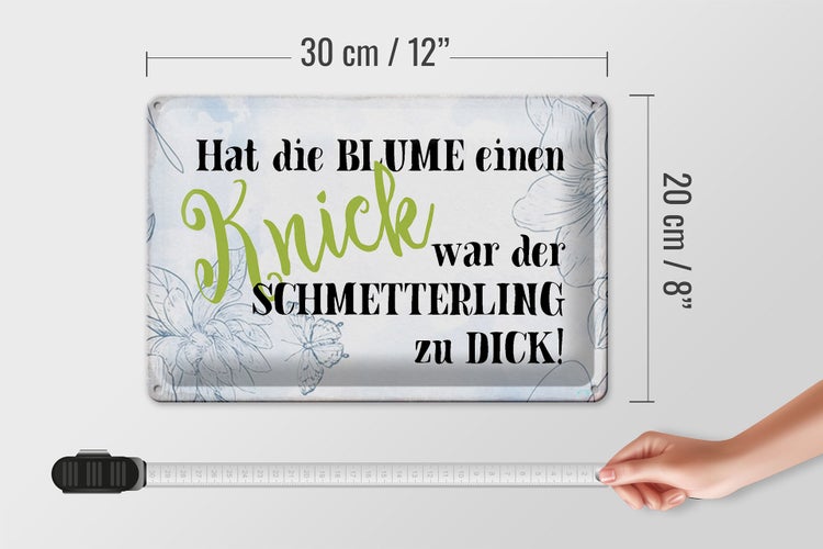 Blechschild Spruch 30x20cm hat Blume Knick Schmetterling