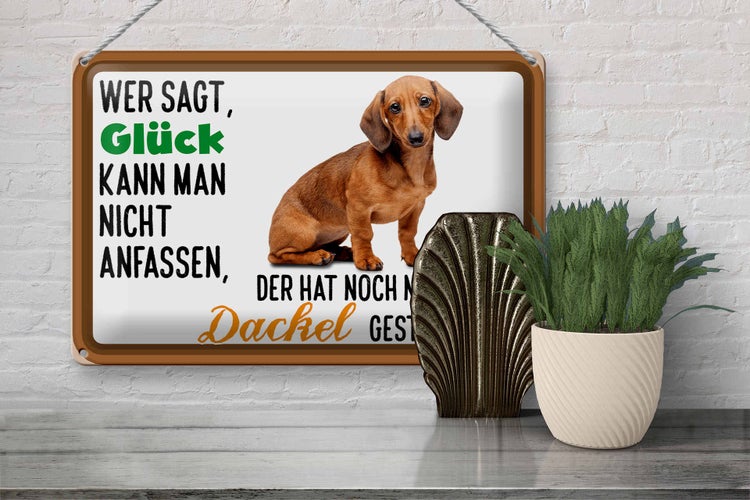Blechschild Spruch 30x20cm wer sagt Glück Dackel Hund