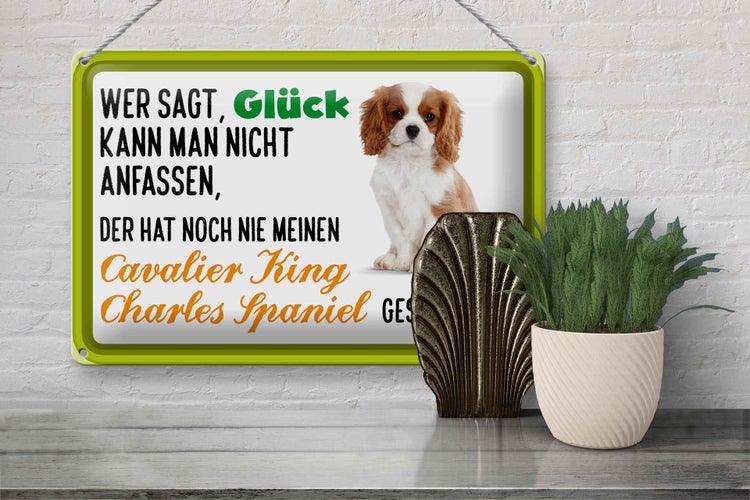 Blechschild Spruch 30x20cm Cavalier King Charles Spaniel