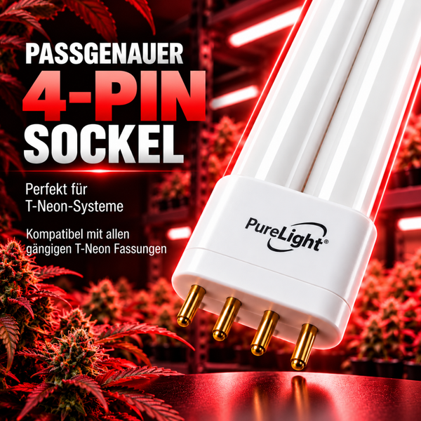 PureLight Leuchtmittel mit vier Pin Sockel für T Neon Pflanzenbeleuchtung.