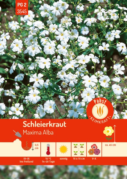 Nahaufnahme eines Fingers beim Säen von Sternmoos-Samen in Erde mit Anzuchtanleitung von Deine Gartenwelt für Anfänger und erfahrene Gärtner.