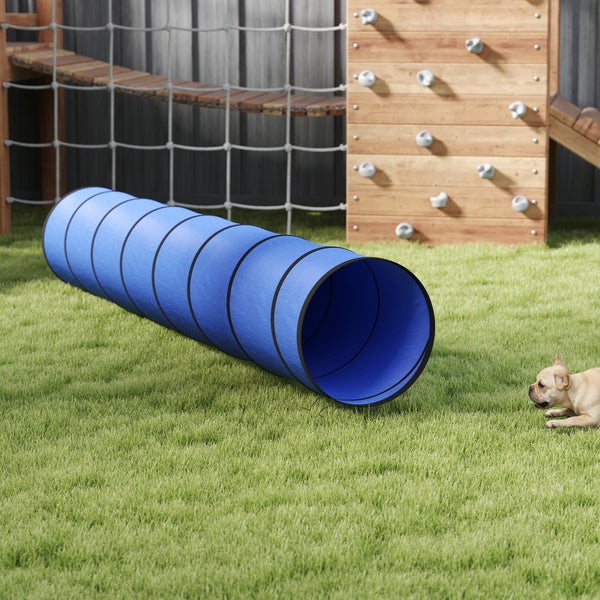 Blauer Agility-Hundetunnel auf Rasen mit einem kleinen Hund und einem hölzernen Spielgerüst im Hintergrund.