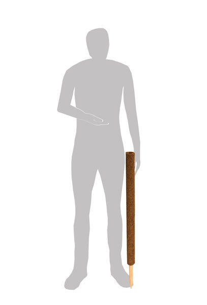 BigDean 2er Set Pflanzstäbe Kokos 80 cm - Monstera Rankhilfe Rankstäbe Stab Moosstäbe Pflanzenstäbe Kokosstäbe für Pflanzen - aus natürlicher Kokosfaser - verlängerbar