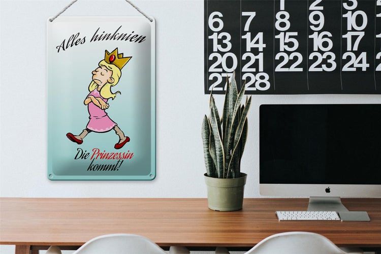 Blechschild Spruch 20x30cm Alles hinknien Prinzessin kommt