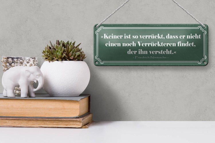 Blechschild Spruch 27x10cm keiner so verrückt dass er nicht Verrückteren findet