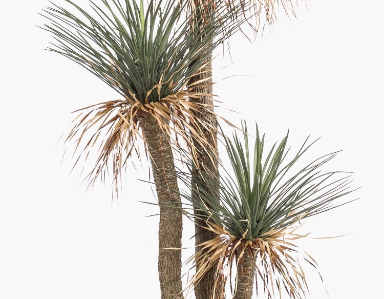 Künstliche Yucca-Palme mit drei Stämmen und spitzen grünen Blättern.