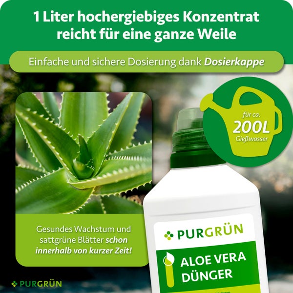 Eine Flasche Purgrün Aloe Vera Dünger mit Dosierkappe für zweihundert Liter Gießwasser, ideal für gesundes Wachstum von Sukkulenten.