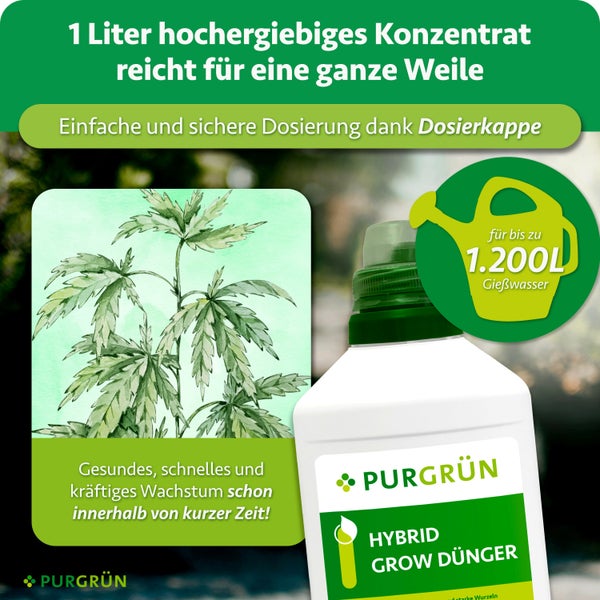 Eine Flasche PURGRÜN Hybrid Grow Dünger Konzentrat für gesundes und schnelles Pflanzenwachstum mit Dosierkappe für bis zu 1200 Liter Gießwasser.