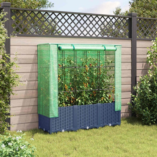 Blaues Hochbeet in Rattan-Optik mit einem grünen Foliengewächshaus für Tomatenpflanzen im Garten vor einem Zaun.