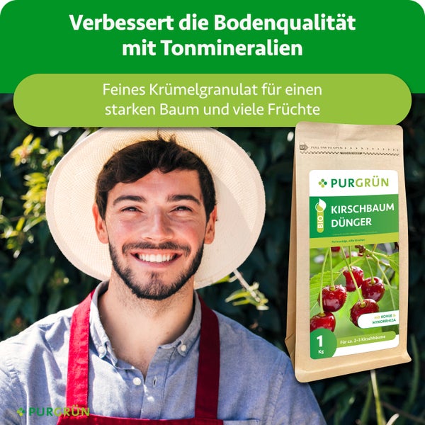 Lächelnder Gärtner mit Hut neben Purgrün Bio Kirschbaum Dünger, verbessert die Bodenqualität durch Tonmineralien und feines Krümelgranulat.