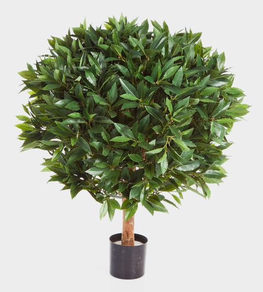 Künstlicher Lorbeerbaum in Kugelform mit Holzstamm im schwarzen Kunststofftopf.