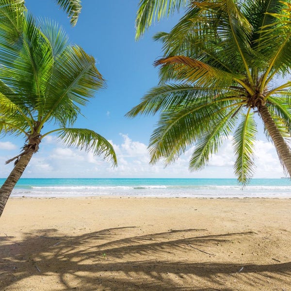 Strandlandschaft mit Palmen, Sand und Meer unter blauem Himmel