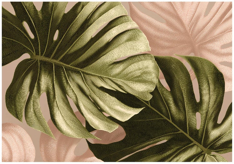 Illustration von Monstera Blättern