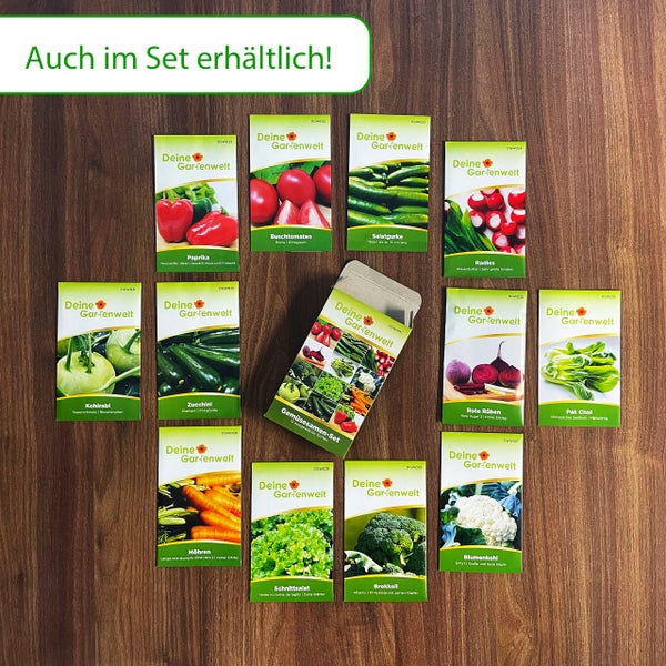 Gemüsesamen-Set von Deine Gartenwelt mit zwölf Sorten wie Paprika, Tomaten, Gurken und Radieschen in einer Kartonverpackung.