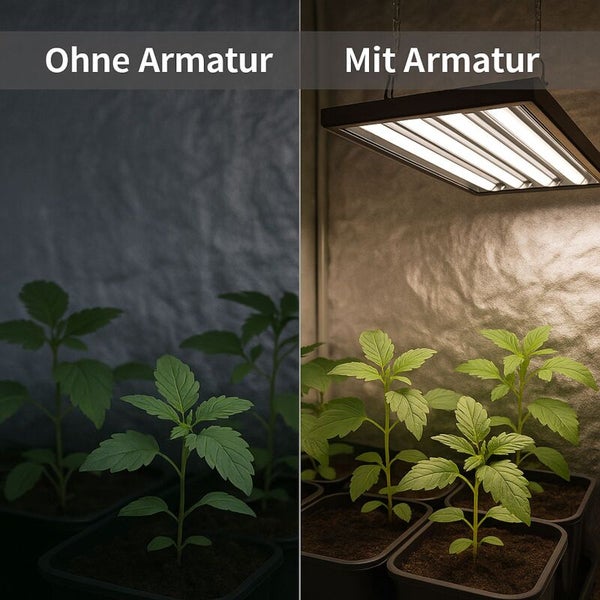 Vergleich von Pflanzen ohne und mit Armatur. Die linke Seite ist dunkel, die rechte Seite wird von einer LED-Pflanzenlampe hell beleuchtet.